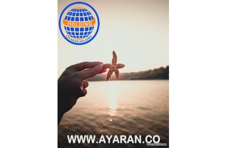 هلدینگ عیاران