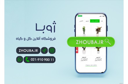 فروشگاه آنلاين گل و گياه ژوبا - 3