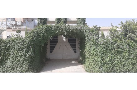 سوئیت اجاره ای