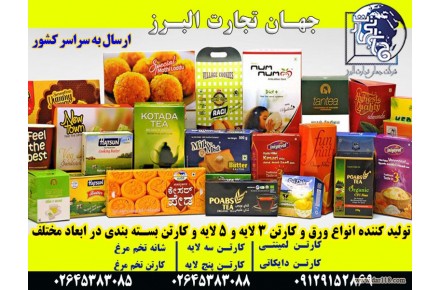تولید و صادرات انواع کارتن - 1