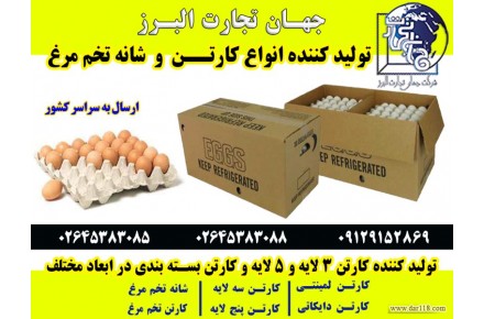 تولید و صادرات انواع کارتن - 2