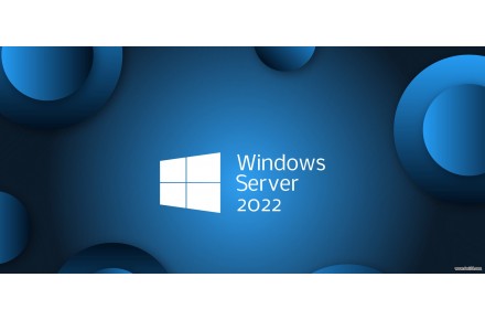 لایسنس ترمینال سرویس 2022 (Terminal Service) / ریموت دسکتاپ ( Remote Desktop License) ویندوز سرور 2022 - 3