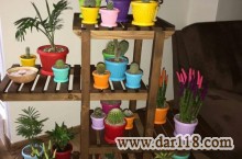 گلدانهای پلاستیکی کشاورزی ، باغی ، تزیینی ، ژله ای