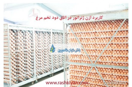 ازن ژنراتور با تکنولوژی پلاسمای سرد در صنعت دام و طیور - 2