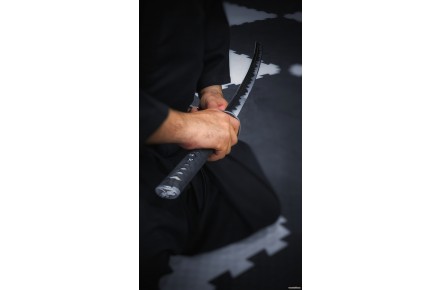 آموزش ای آی دو(Iaido) از مبتدی تا حرفه ای در آکادمی کوکورو دوجو - 2