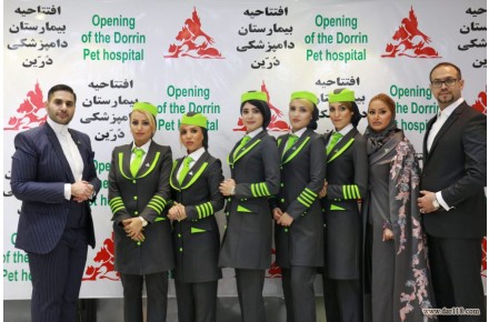 بیمارستان دامپزشکی و پت شاپ شبانه روزی درین - 2