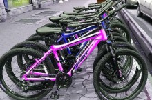 دوچرخه تعاونی ساخت تایوان