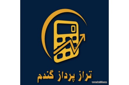 خدمات مالی ومشاور مالیاتی و ثبت شرکت،انجام امور حسابداری،اظهارنامه مالیاتی،گزارشات معاملات و… - 1
