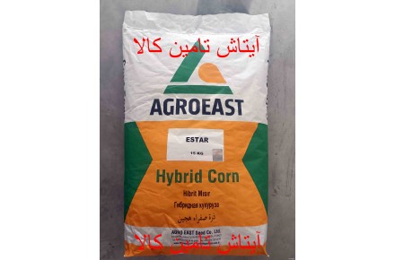 بذر ذرت شیرین آلتین altin و بذر ذرت دو منظوره دانه ای و علوفه ای رقم ای استار estar - 2
