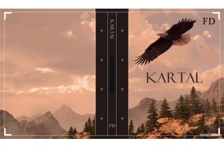 آلبوم کاغذ دیواری کارتال KARTAL 