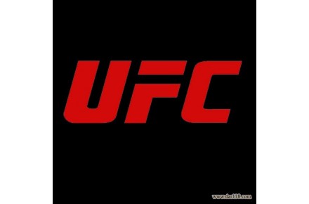 مرکز آموزشی یو اف سی ufc و ام ام ای mma در تهران هنرهای رزمی ترکیبی استاد سعید صفری - 1