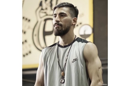 مرکز آموزشی یو اف سی ufc و ام ام ای mma در تهران هنرهای رزمی ترکیبی استاد سعید صفری - 2