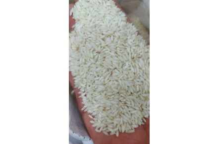 فروش برنج عنبر بو خوزستان بصورت عمده - تصویر شماره 1