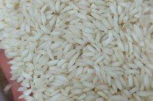 پخش عمده برنج عنبر بو خوزستان با شرایط وبرداشت امسال