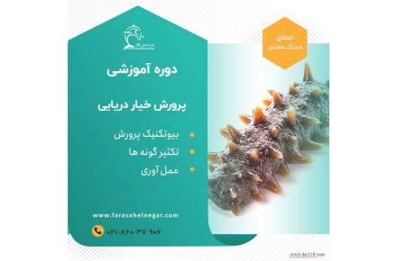 دوره آموزشی خیار دریایی
