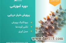 دوره آموزشی خیار دریایی