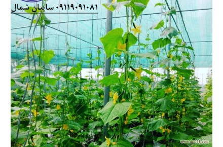 توری سایبان  شید گلخانه کیسه راشل - قیمت توری سایبان - 2