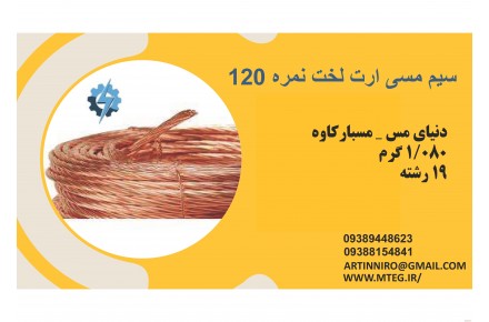  اجرای صاعقه گیر و اجرای چاه ارت - 2