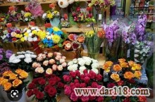 پیش فروش غرفه های 18 متری بازار گل و گیاه (عباس آباد)