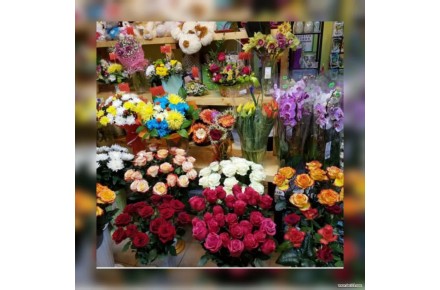 پیش فروش غرفه های 18 متری بازار گل و گیاه (عباس آباد) - 1