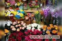 پیش فروش غرفه های 18 متری بازار گل و گیاه (عباس آباد)