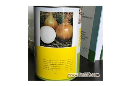 فروش بذر پیاز انزا چلسی  - 1