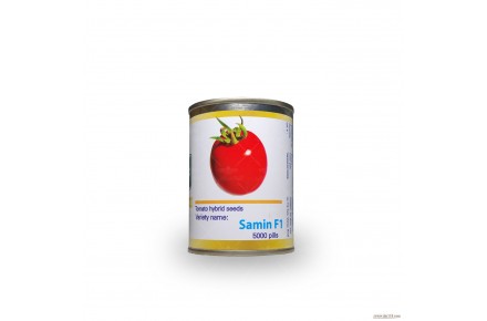 فروش بذر گوجه فرنگی ثمین  - 3