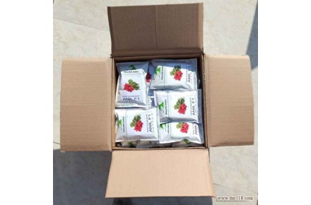 فروش بذر ترب آنیل هلندزادن - 3