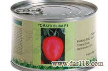 فروش بذر گوجه فرنگی الیسا ( Elisa )
