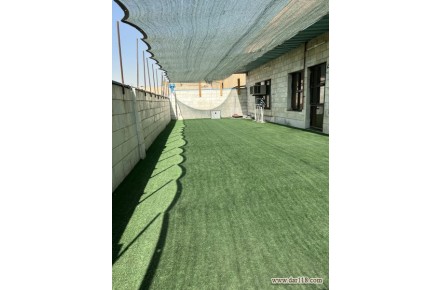 باشگاه هوازی و چربی سوزی و آمادگی جسمانی ، کراسفیت،برگزاری کلاس های خصوصی و گروهی بدنسازی - 3