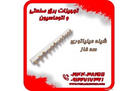 شینه مینیاتوری ( باسبار - جمپر ) - 1