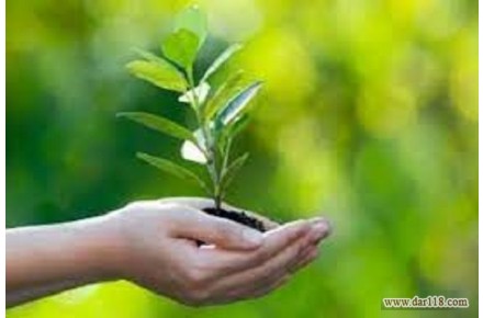 سوپرجاذب معدنی پادنار - 3