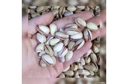 فروش پسته با کیفیت فوق العاده و خوش طعم - 1