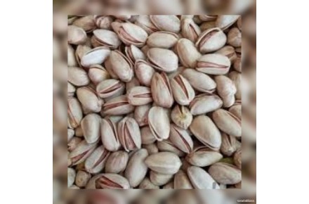 فروش پسته با کیفیت فوق العاده و خوش طعم - 2