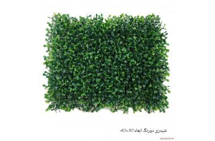 گرینوال ( دیوار سبز مصنوعی )  - 2