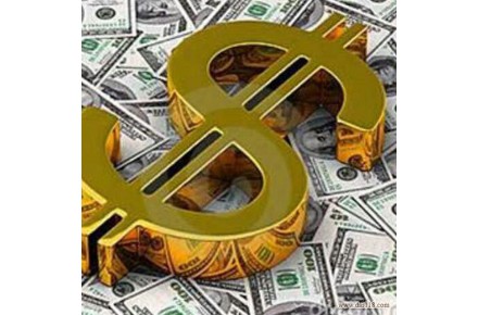 سرمایه گذاری با سود ۱۰ تا ۳۰ درصد ماهانه(دلاری) - 1
