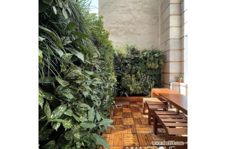دیوار سبز حرفه ای – گرین وال - 2
