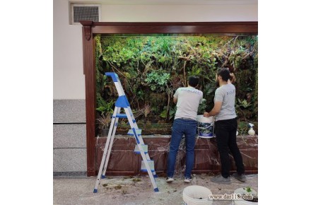 دیوار سبز حرفه ای – گرین وال - 3