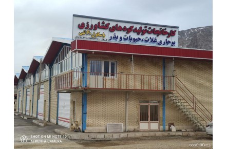 کود کامل بیولوژیک  کود مرغی پلت و مایع کودهای باغی و زراعی  هیومیکی و ۱۶ عنصره - 3