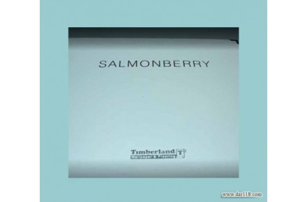 آلبوم کاغذ دیواری سالمون بری SALMONBERRY
