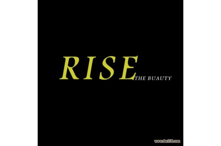 آلبوم کاغذ دیواری رایس RISE