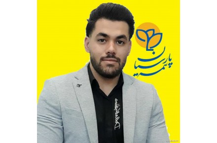 بیمه پارسیان نمایندگی شیری - 1
