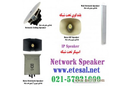 اسپیکر تحت شبکه