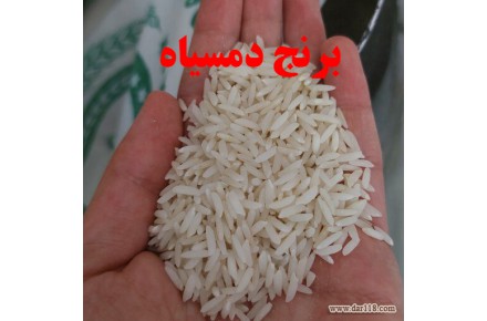 عاملیت پخش و فروش برنج شمال - تالش، به مدیریت فریبرز قنبری - 2
