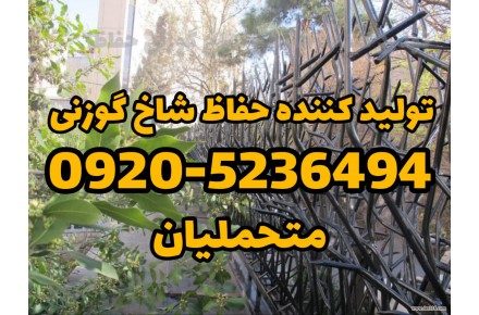 حفاظ شاخ گوزنی و امنیت ساختمان