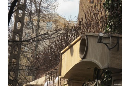 حفاظ شاخ گوزنی و امنیت ساختمان - 2