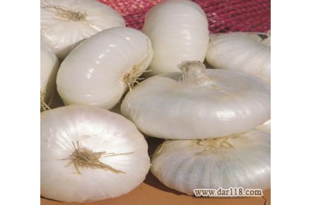 خرید عمده صیفی جات با ارزان ترین قیمت از تره بار اصفهان - 1
