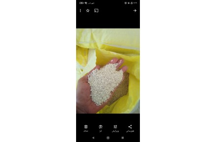 پخش عــمده برنـــج عنــبر بو جنوب، عــاشوری