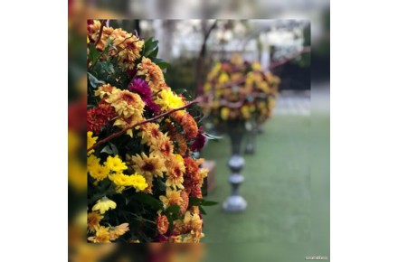 تالار تشریفات ماژ - 1