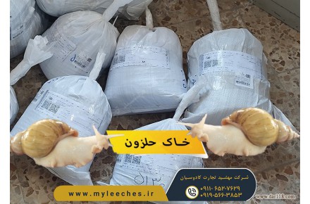 خرید خاک مخصوص حلزون آچاتینا - 1
